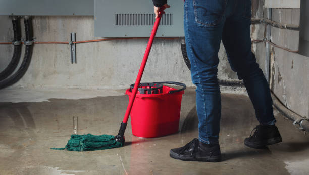 Best Fire Damage Restoration  in Cedarville, OH