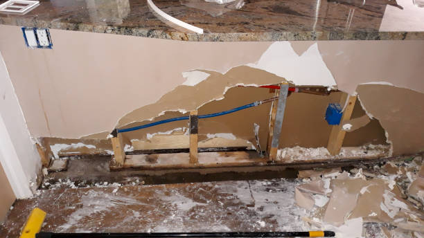Best 24/7 water damage repair  in Cedarville, OH
