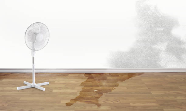 Best Emergency water damage restoration  in Cedarville, OH