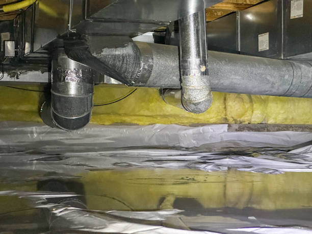 Best Mold removal after water damage  in Cedarville, OH