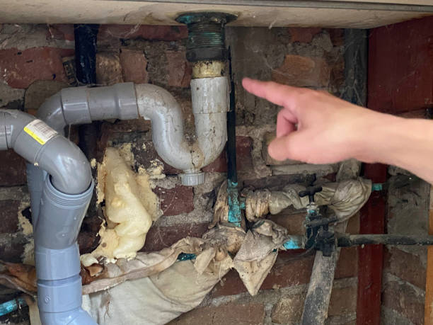 Best 24-hour water damage restoration  in Cedarville, OH