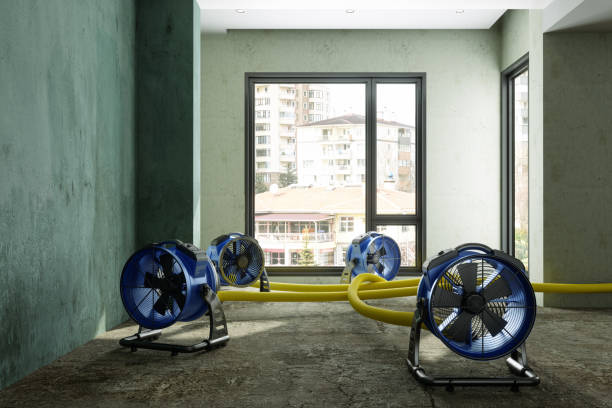 Best Carpet water damage restoration  in Cedarville, OH